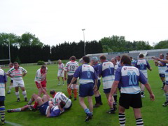 DSC01253.JPG