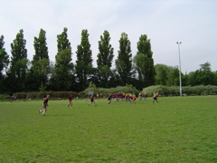 DSC01272.JPG